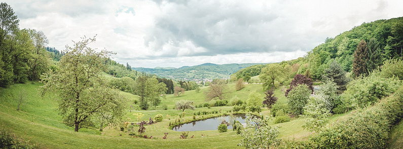 Bensheim, bombenwetter, Brautstrauß, Darmstadt, Felsenmeer, Fotografie, Frankfurt, Hochzeit, Hochzeiten, Hochzeitsbilder, Hochzeitsfotograf, Hochzeitsfotos, Hochzeitsmakeup, Hochzeitsreportage, Hofgut Hohenstein, Lautertal, Lotus, Lotus Elise, profesionelle Hochzeitsbilder, professioneller Hochzeitsfotograf, Romantisch, Schloß Braunshardt, Sonne, Sonnenstrahlen, Verträumt, Wald, Wedding, Weiterstadt (9)