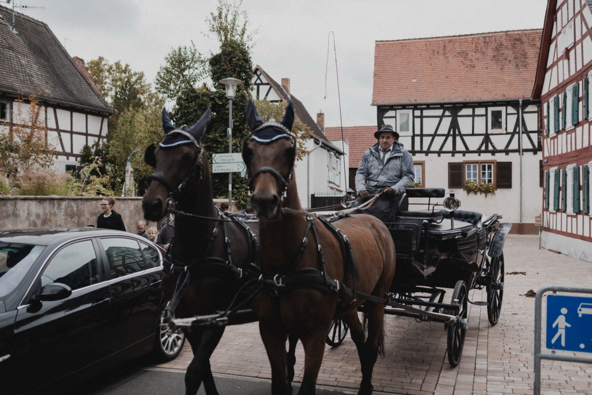 Pferdekutsche,Kutscher,Spielstrasse