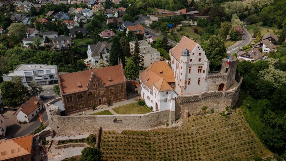 Burg Alzenau,Weinberg,Burgmauer