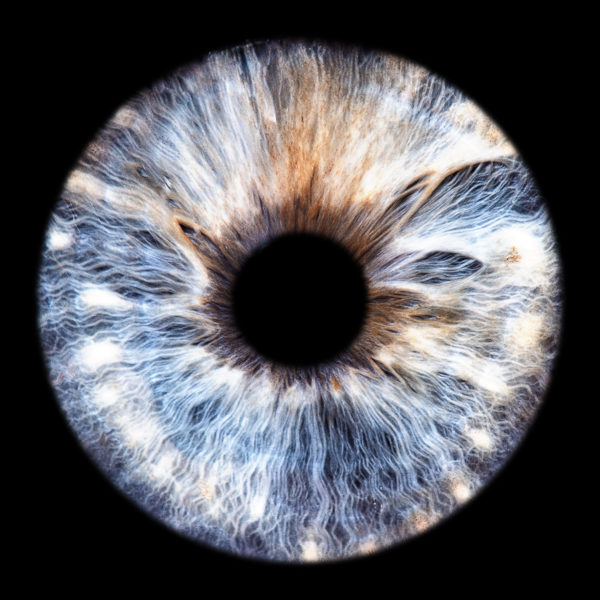 Irisfotografie Irisbilder Augen