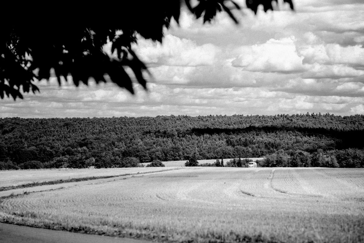 Feld, Wolken, schwarzweiß, Wald, Bäume, Baum, Feldweg, Natur