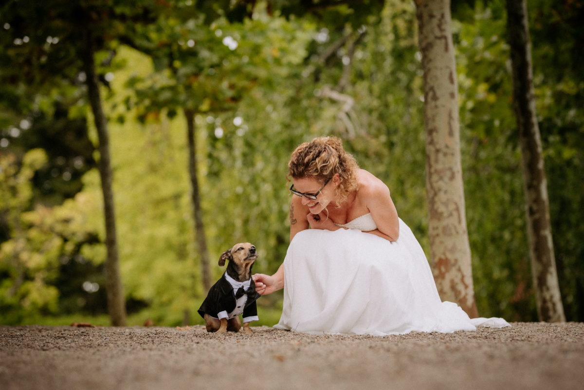 Hochzeit, heiraten, Hochzeitsfotograf, Braut, Brautkleid, Hund, Anzug