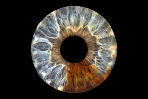 Irisfotografie Irisbilder Bilder der Augen Frankfurt Aschaffenburg