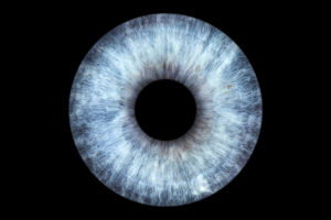 Irisfotografie Irisbilder Bilder der Augen Frankfurt Aschaffenburg